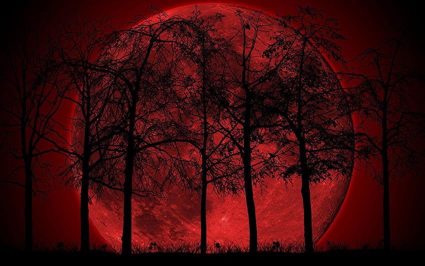 2975) 暗い森の月 Iphone、赤い森 高画質の壁紙