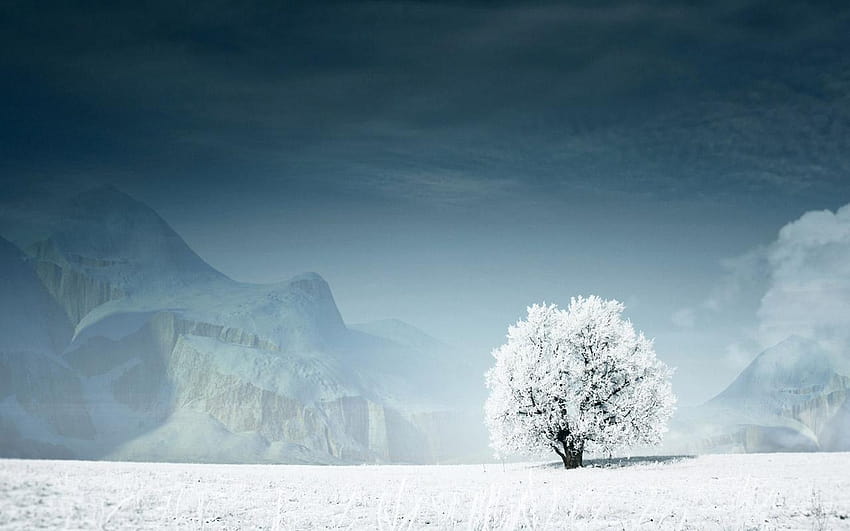 7 Paisaje invernal, paisaje invernal fondo de pantalla