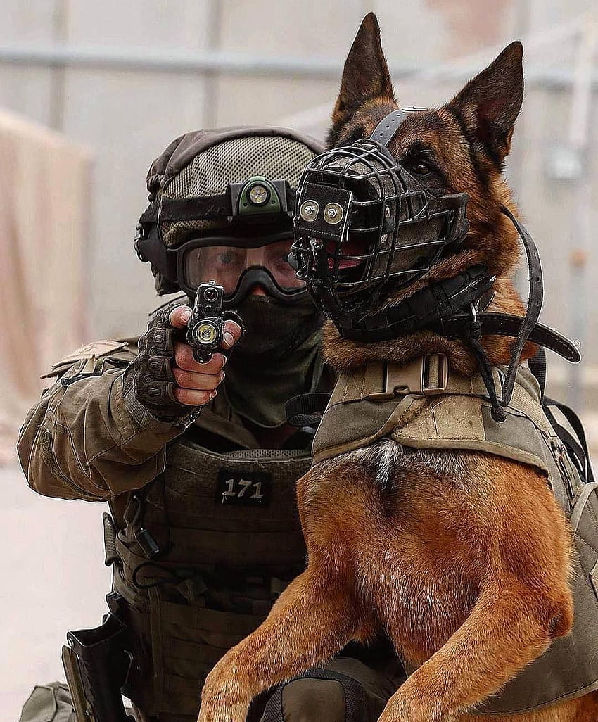 If they stand behind you, protect them. If they stand beside you, respect them. If they stand against you, de…, army dog HD phone wallpaper