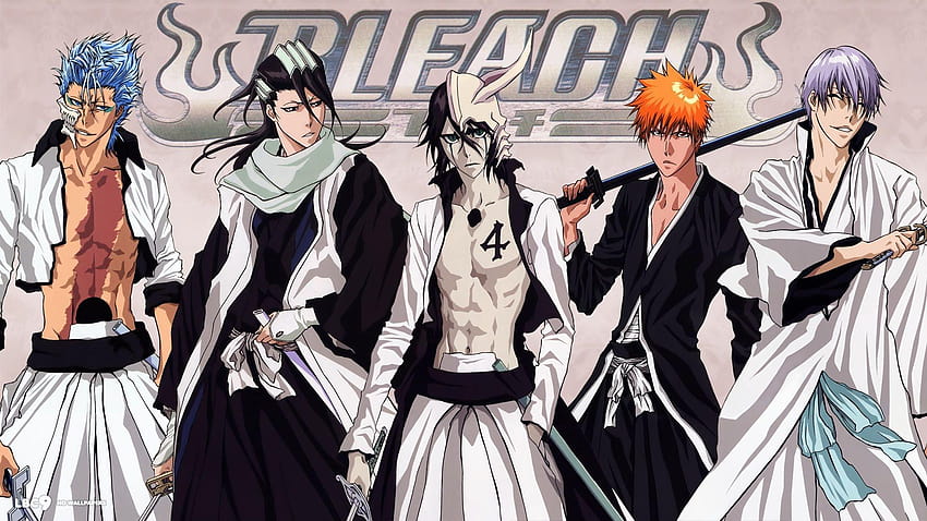 Bleach Anime Series  Manga Anime Characters and more