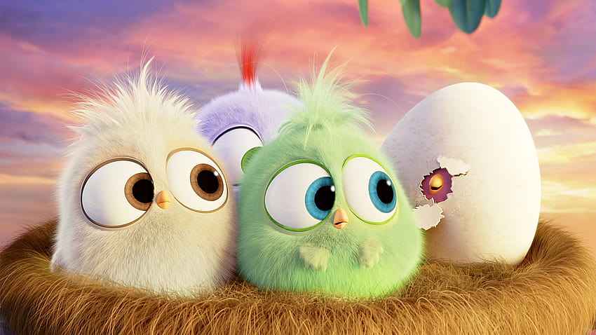 Jungtiere Angry Birds, Filme, Jungvögel HD-Hintergrundbild