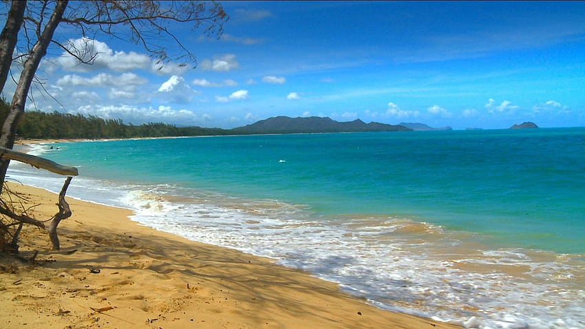 Hawaiian Beaches Kaanapali Beach Hd Wallpaper Pxfuel