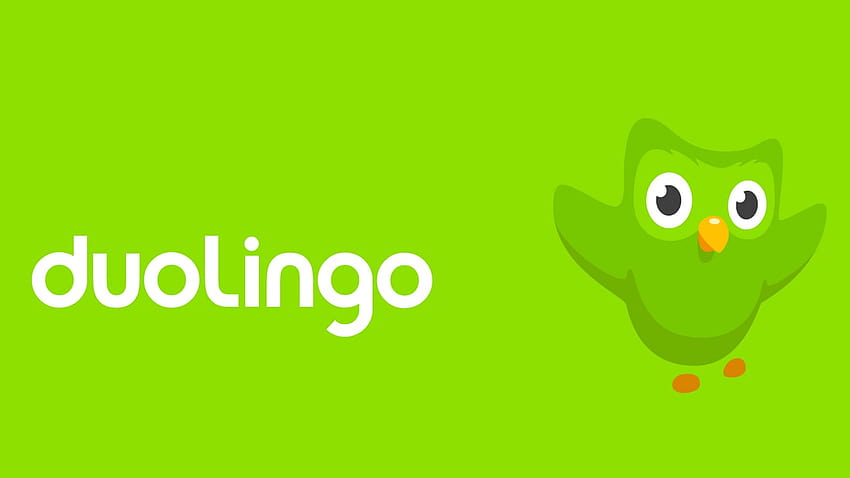 Duolingo chega à Índia com módulos de inglês para falantes de hindi, duolingo meme papel de parede HD