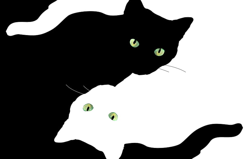 Kucing Minimalis Estetis, kucing estetika anime Wallpaper HD