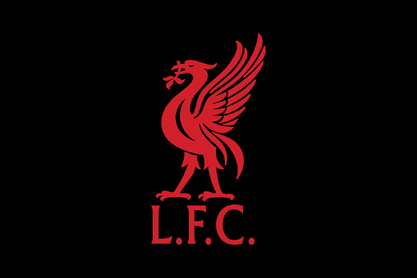 Ptak z logo Liverpoolu, ptak wątrobiany Tapeta HD