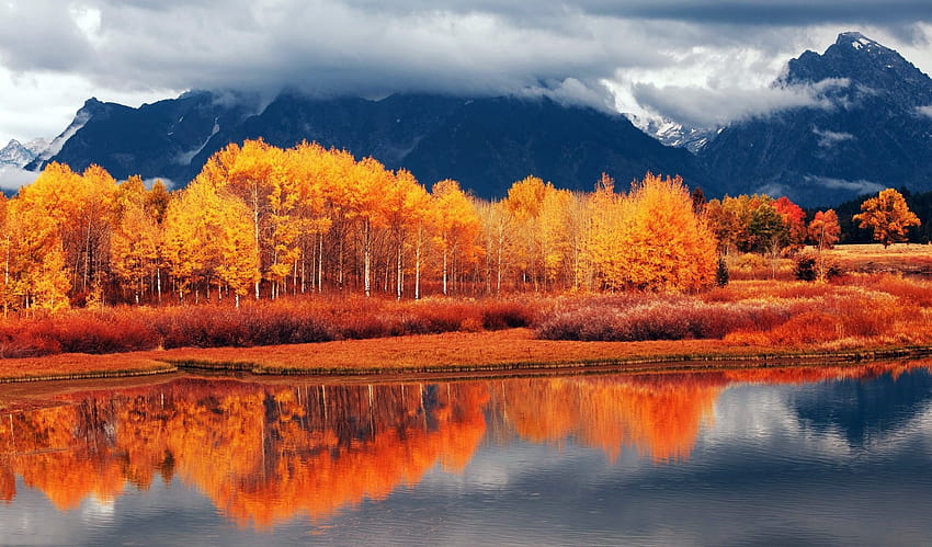 Autumn Mountain For Android, mountain autumn pc HD wallpaper
