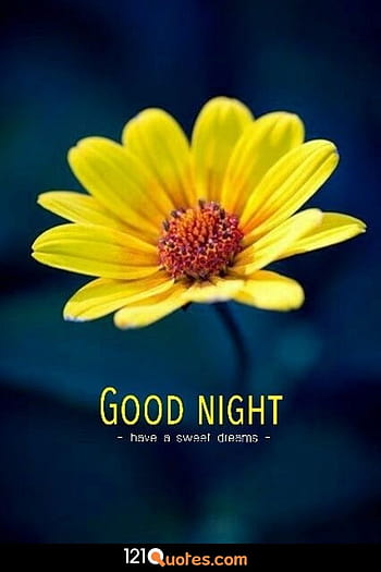 Page 2 | good night flower good night HD wallpapers | Pxfuel