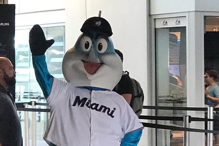 Miami Marlins unveil new costume for Billy the Marlin mascot, farm mascots HD wallpaper