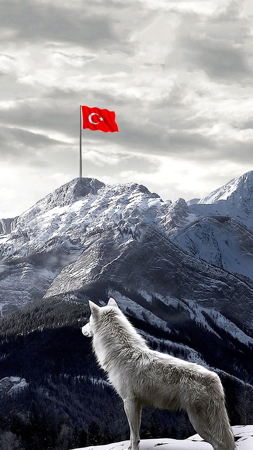 Ne Mutlu Türk'üm Derim Ben., flag of turkey HD phone wallpaper