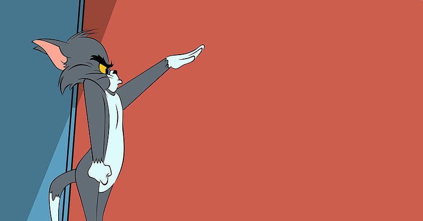 Cartoon Cats Tom And Jerry / and Mobile Backgrounds, tom and jerry pc HD  wallpaper | Pxfuel