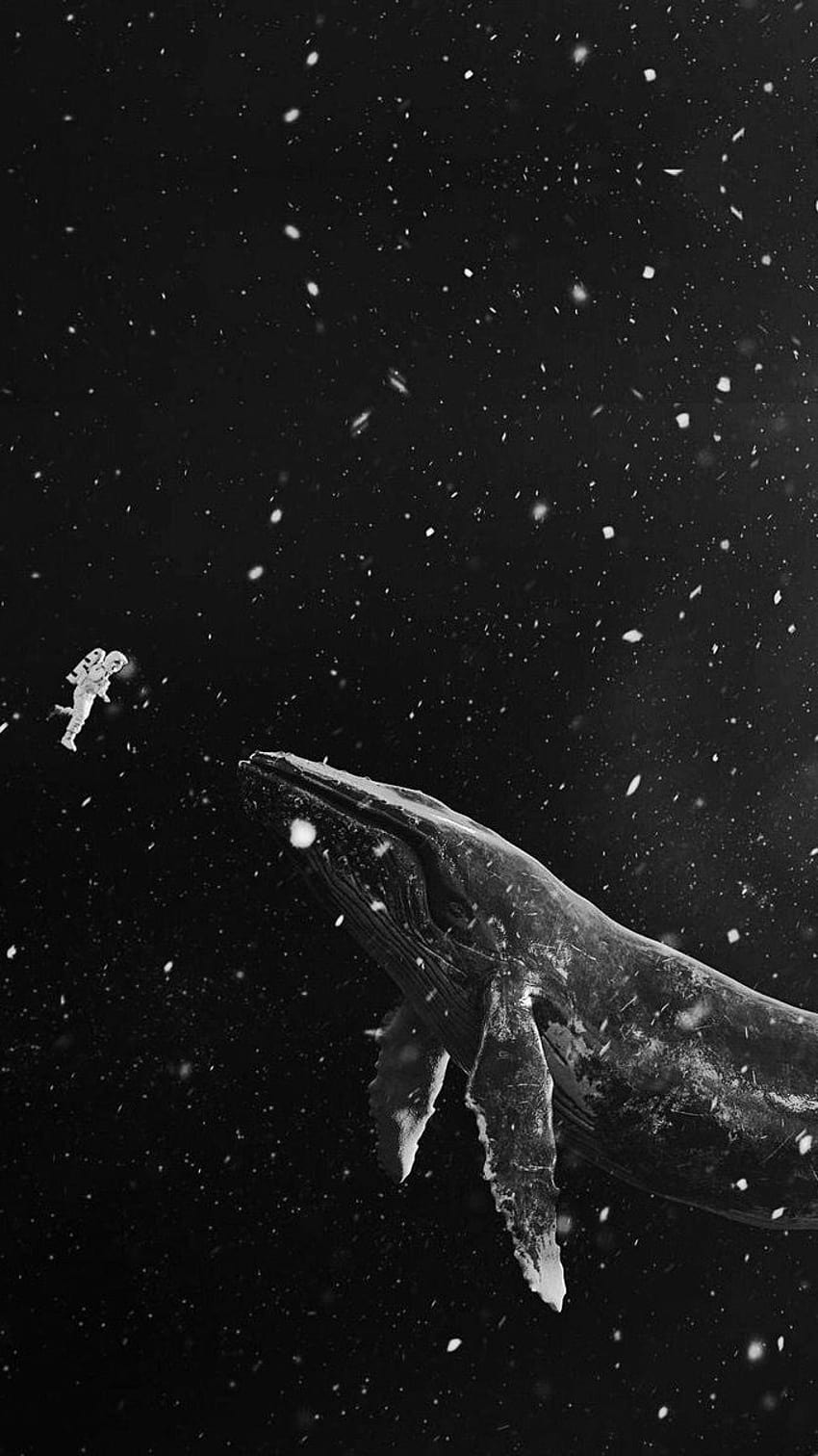우주] Astronaut & Whale, 미적 고래 HD 전화 배경 화면