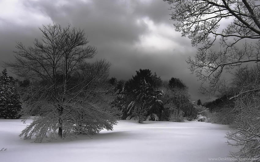 Weather Spooky Winter Backgrounds, cold weather HD wallpaper