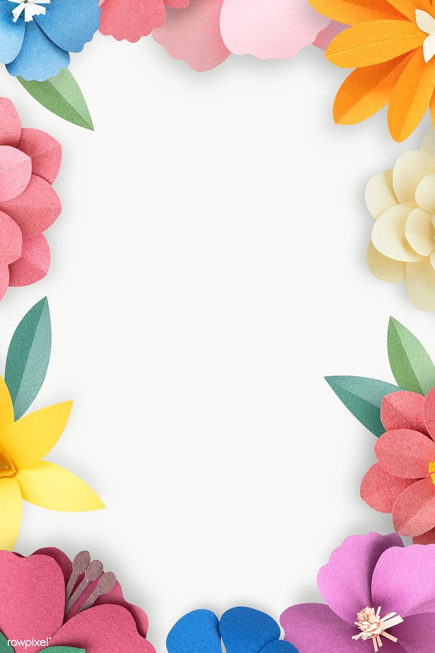 Colorful and tropical floral frame transparet png, aesthetic flowers border HD phone wallpaper