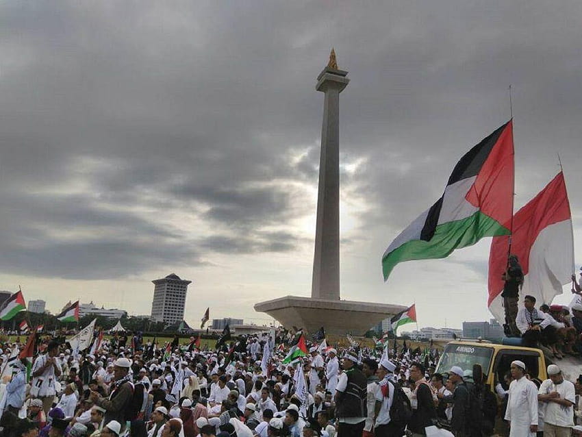 Aksi Bela Palestina dan Sisi Lainnya, bendera palestina HD wallpaper