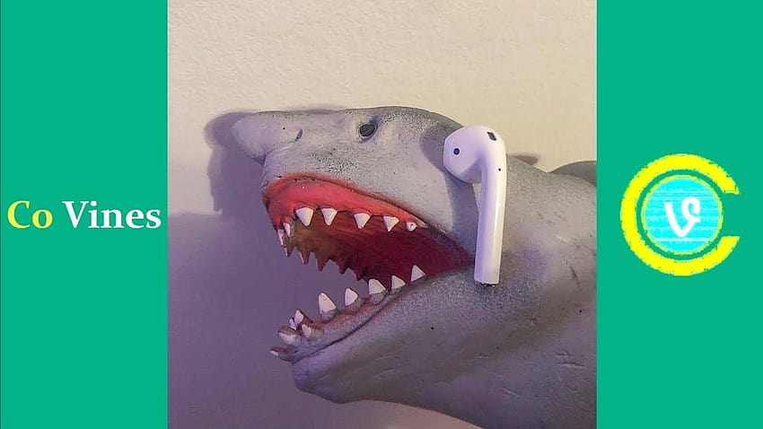 Опитайте се да не се смеете, гледайки Shark Puppet Compilation 2019 HD тапет