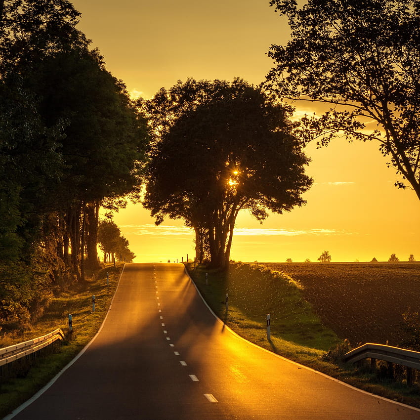 2932x2932 Road Sunset Back Light Ipad Pro Retina Display Nature Road