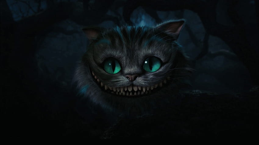 5 Cheshire Cat Live, creepy cat HD wallpaper