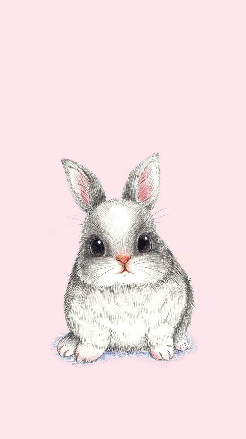 Pink Rabbit Aesthetic Wallpapers  Cool Bunny Wallpapers iPhone