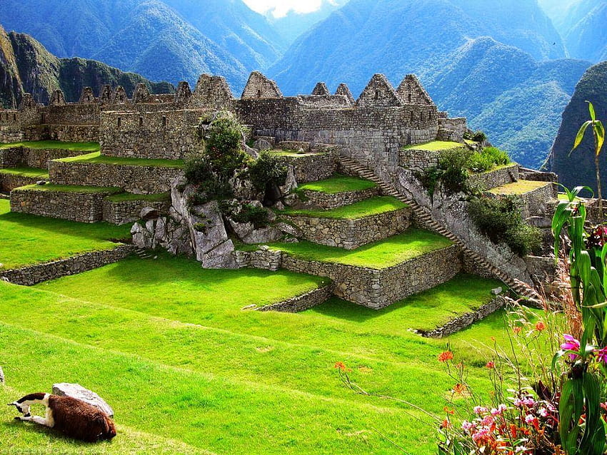 Machu Picchu et Fond d'écran HD