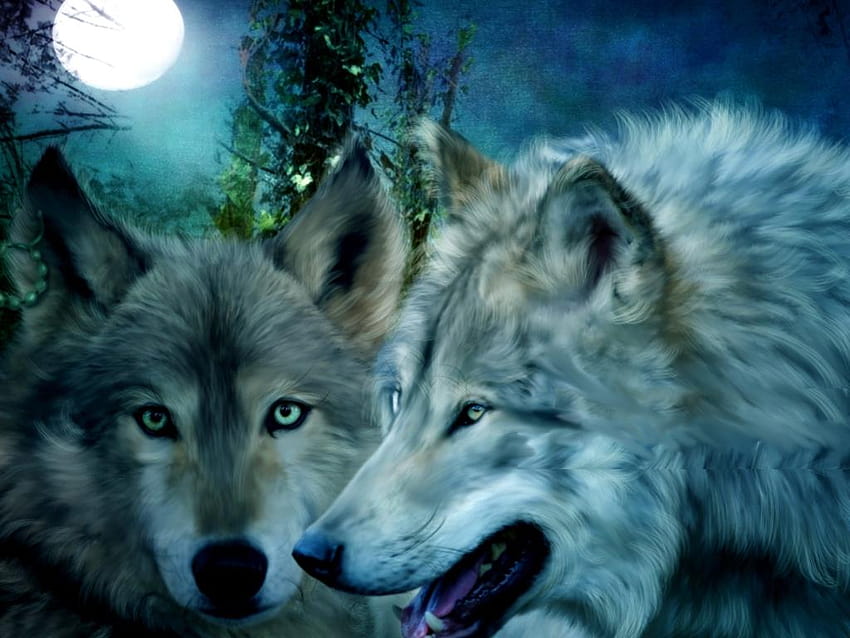 Wolf Border [1024x768] for your, valentines day wolf HD wallpaper | Pxfuel