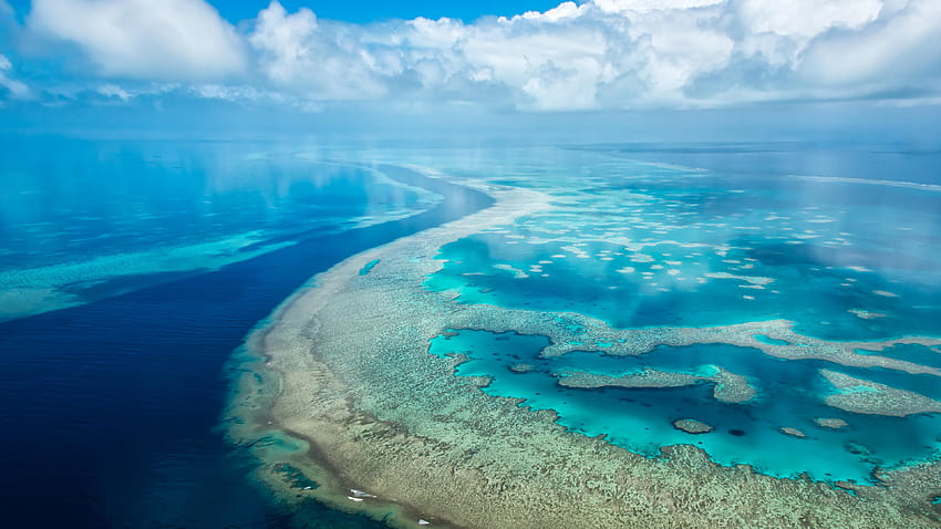 Wielka rafa koralowa, rafa koralowa, Queensland, Australia, park morski wielkiej rafy koralowej Tapeta HD