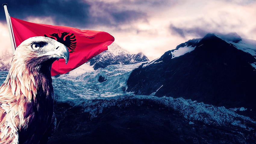 Albania Flag Eagle Art, albanian flag HD wallpaper