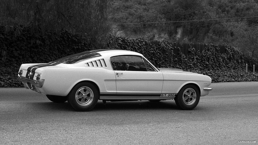 Zdobądź gif Ford Mustang Shelby Gt350 z 1965 r., Shelby GT350 z 1965 r. Tapeta HD