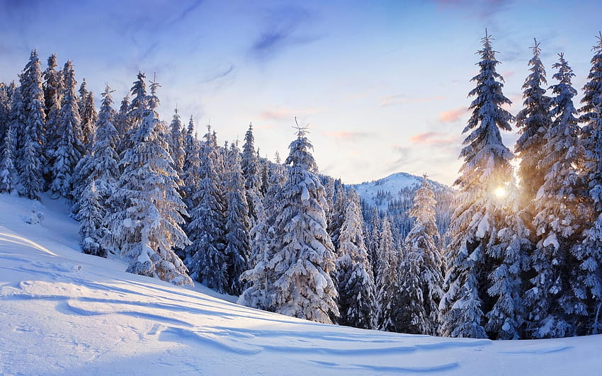 Mountains nature landscapes winter snow trees forest sun, winter ...