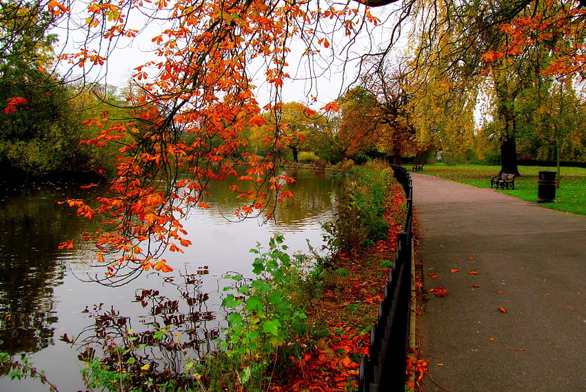 Pohon alam musim gugur berjalan di taman sungai r meninggalkan hutan gang, gang hutan Wallpaper HD
