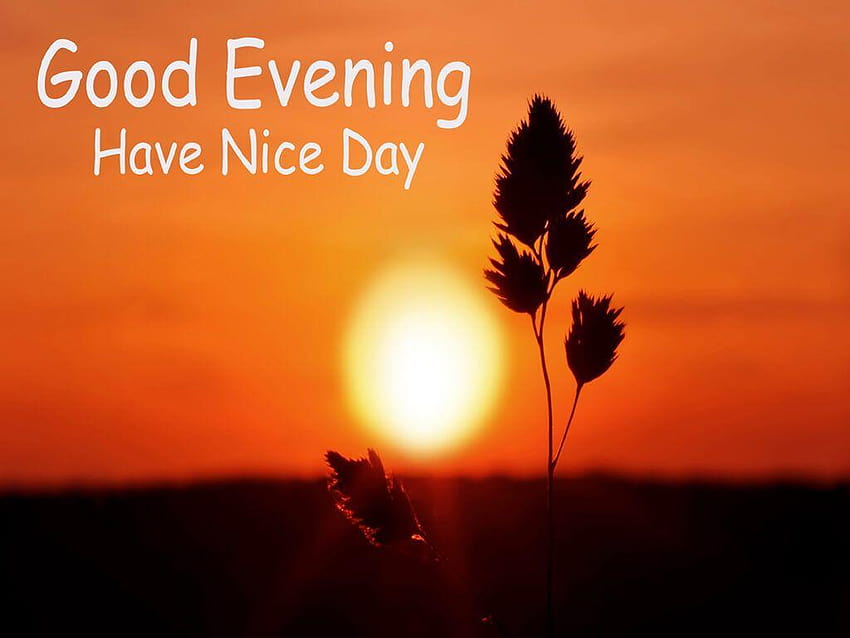 7 Best Good Evening , and HD wallpaper | Pxfuel