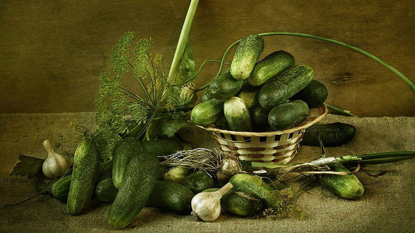 Culinary Physics: Food, cucumber HD wallpaper