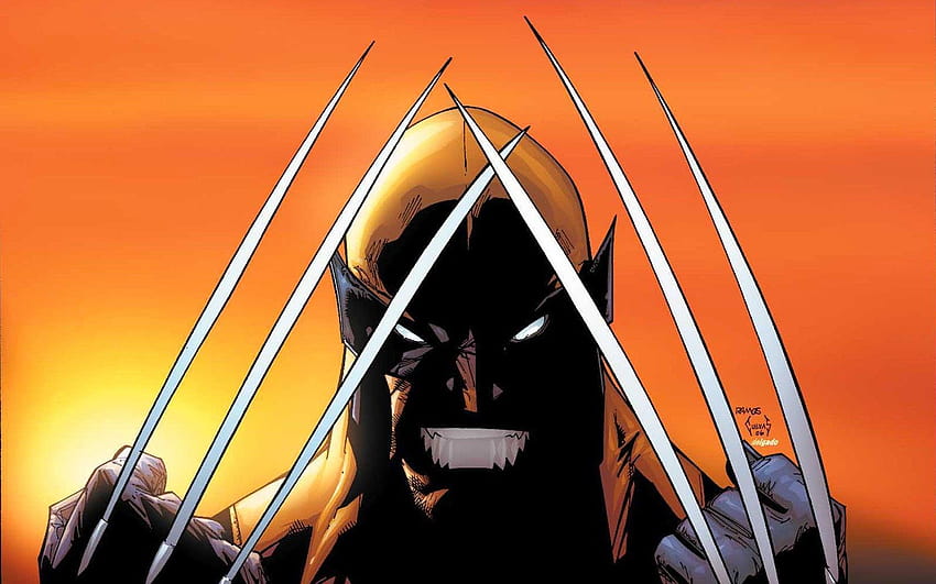 Wolverine, Orange, Adamantium, Claws / and HD wallpaper