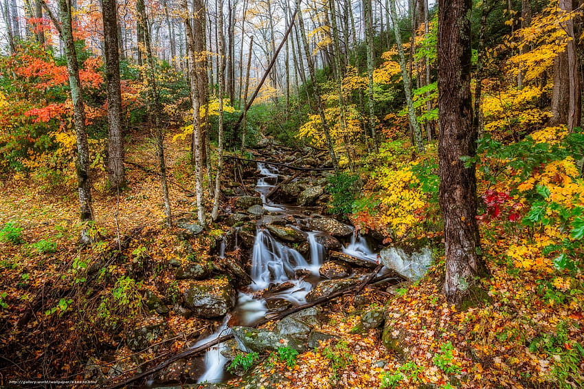 Taman Nasional Pegunungan Great Smoky, Tennessee, musim gugur pegunungan berasap Wallpaper HD