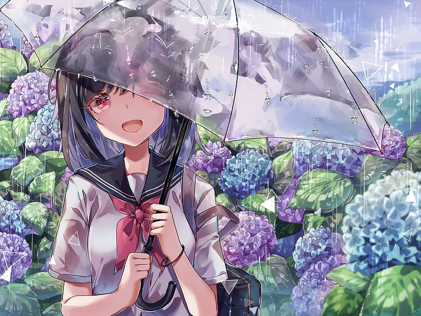2048x1536 Anime School Girl, Transparent Umbrella, anime flower HD wallpaper