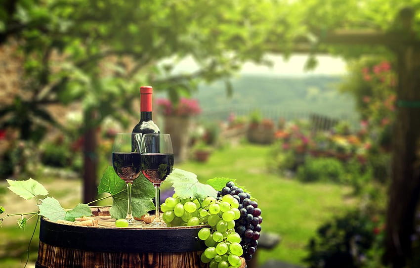 zielenie, liście, tło, wino, butelka, ogród, okulary, butelki wina Tapeta HD