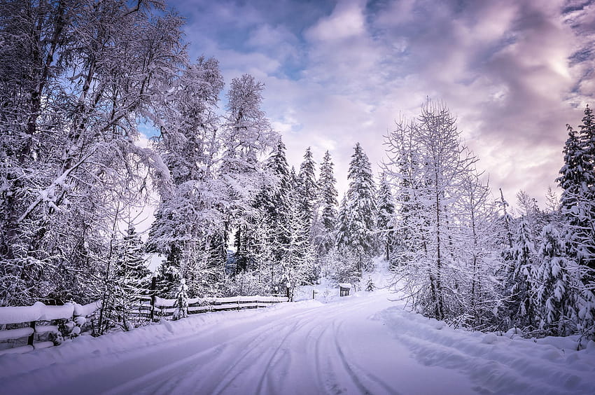 2560x1700 Winter Road Snow Trees White Chromebook Pixel , Backgrounds, and, chromebook winter HD wallpaper
