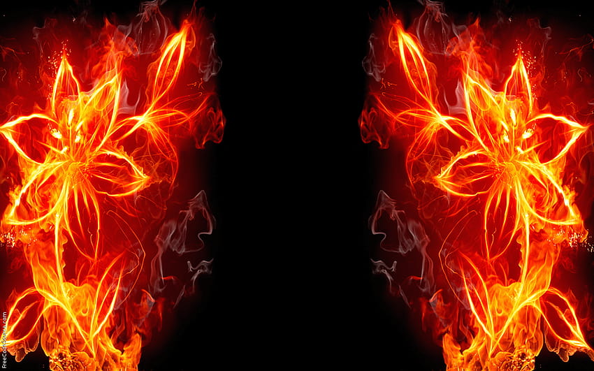 Fire gif no backgrounds HD wallpapers | Pxfuel