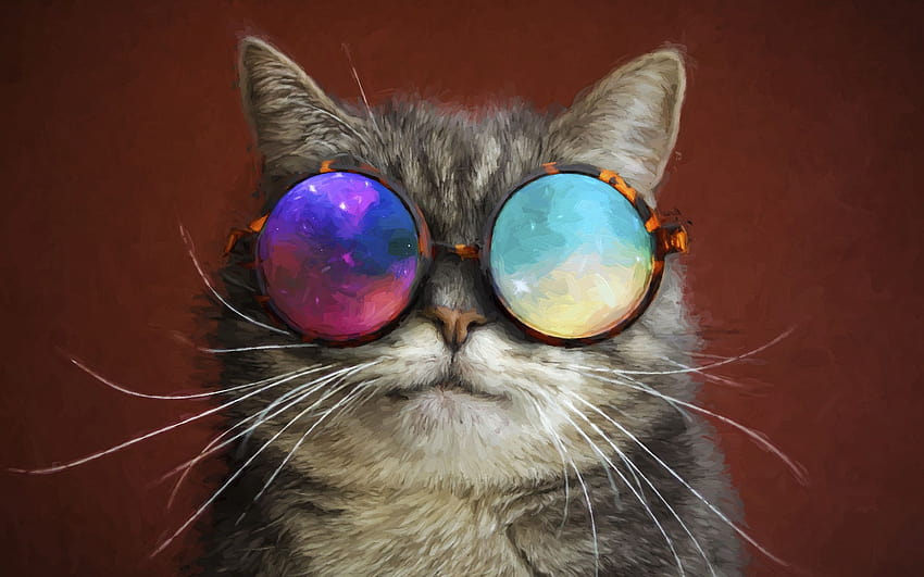 2560x1600 Cat Glasses Party Cool Painting 2560x1600 Resolution, cat party HD wallpaper