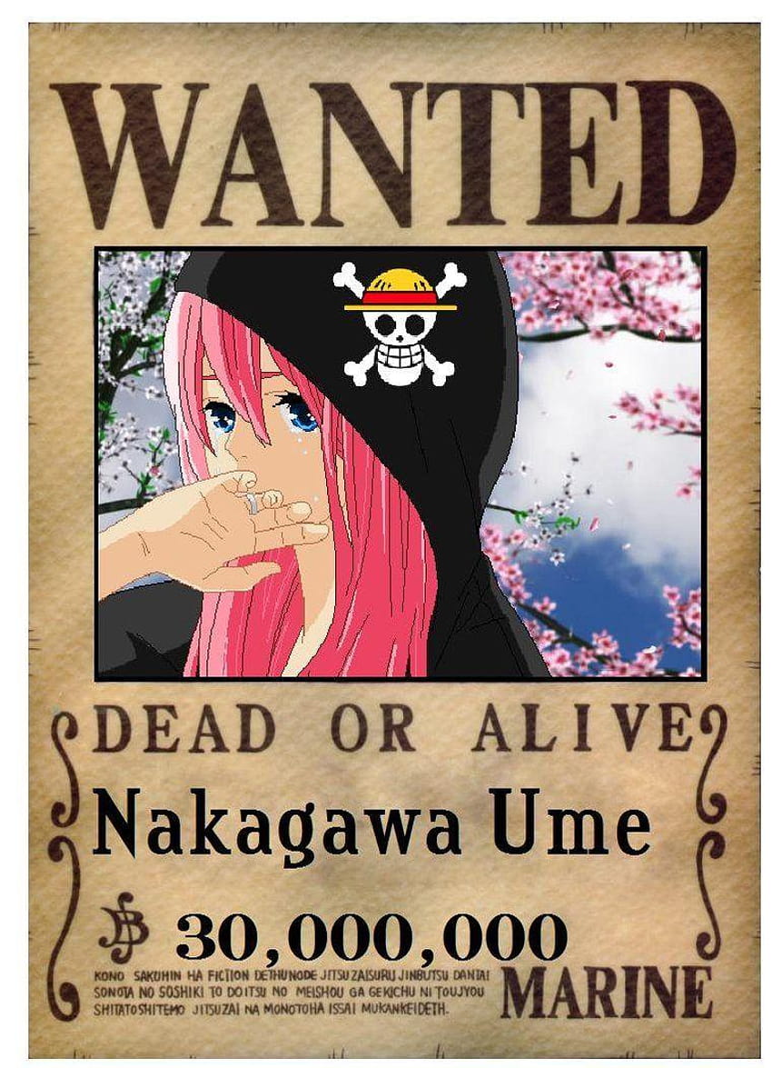One piece: Ume's first wanted poster by monkeyking, one piece wanted HD phone wallpaper