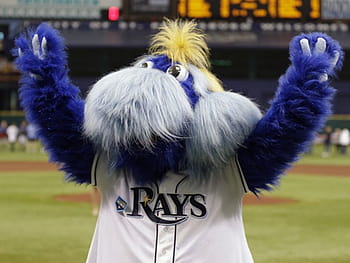 Matt Riddle unbelievably lays out Tampa Bay Rays' mascot during game:  photos