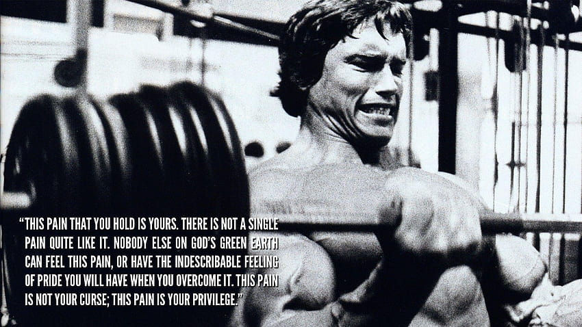 black and white, quotes, pain, Arnold Schwarzenegger, bodybuilding, white pride HD wallpaper