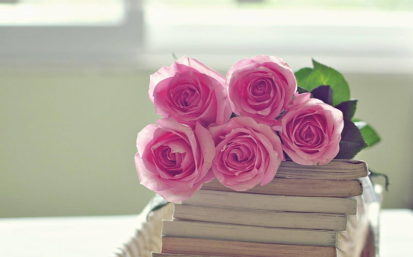 rozy cvety buket pink roses books HD wallpaper