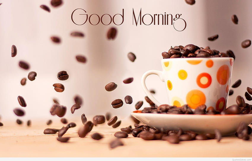 Good morning coffee cup quotes messages, cute coffee HD wallpaper