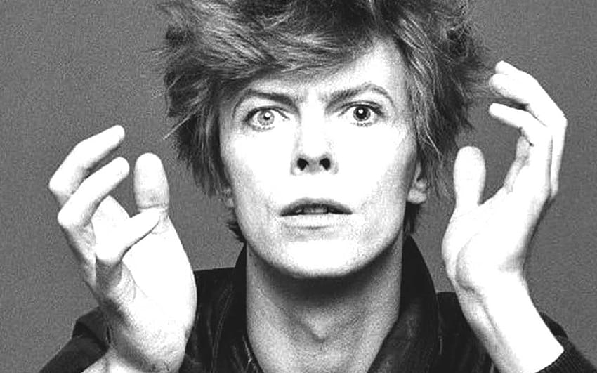 David Bowie's Legacy In Dance Music, hed kandi HD wallpaper