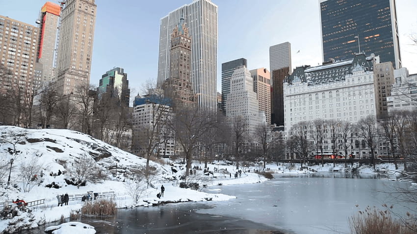 City Winter posted by Zoey Johnson, nyc central park winter HD wallpaper