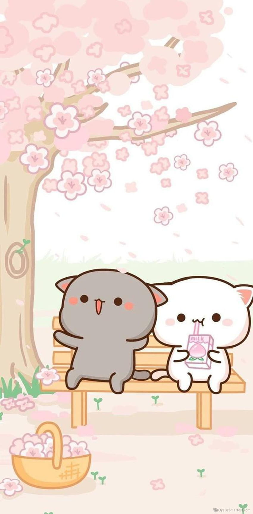 봄 귀엽다 고양이 HD 전화 배경 화면
