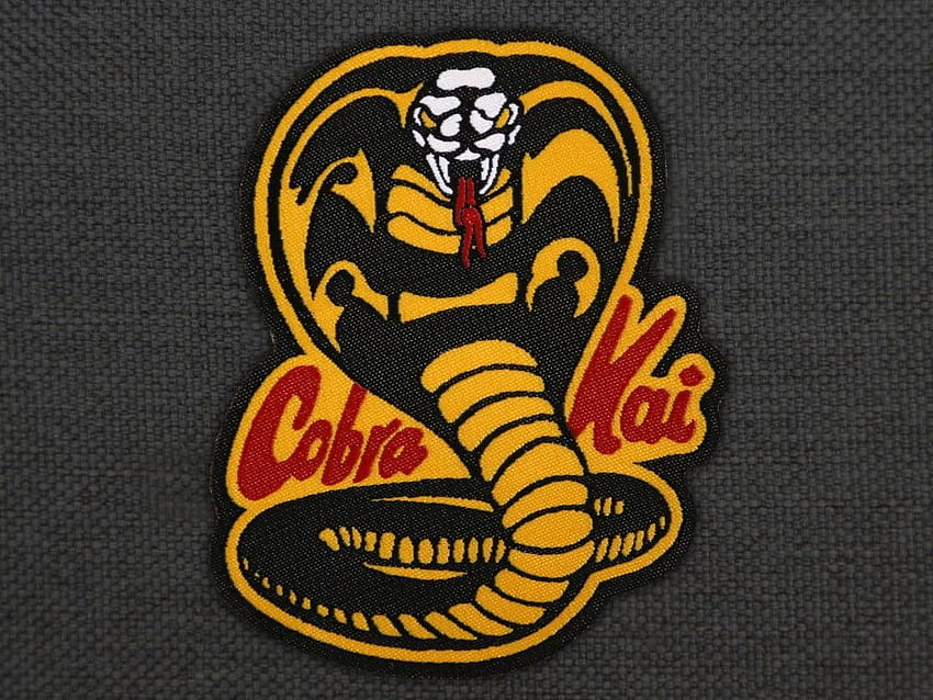 Cobra Kai Poster, cobra kai computer HD wallpaper