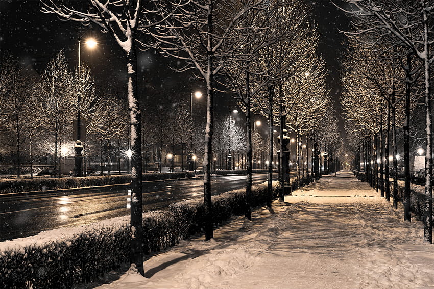 Зимни снежни нощни фонове HD тапет