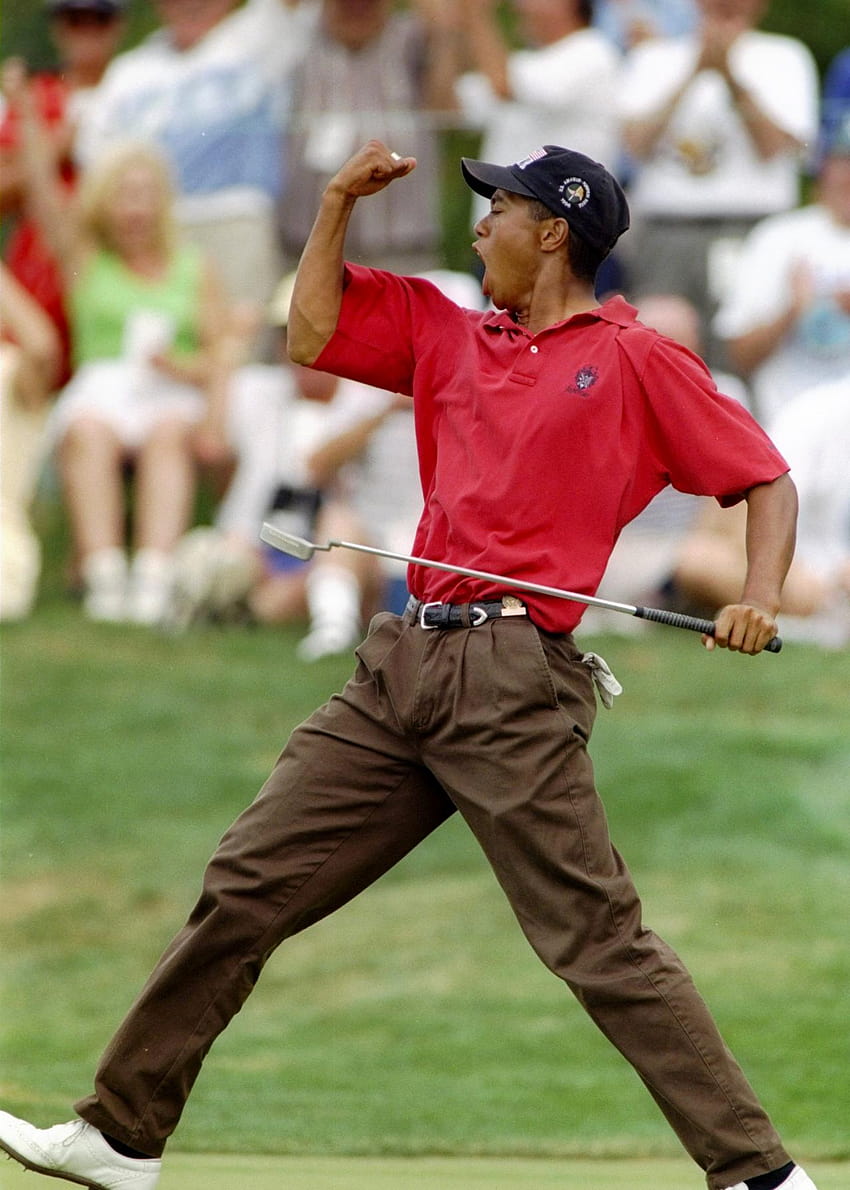 Los 31 mejores de Tiger Woods fondo de pantalla del teléfono