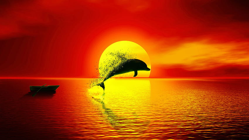 Lumba-lumba saat matahari terbenam, grafik matahari terbenam Wallpaper HD